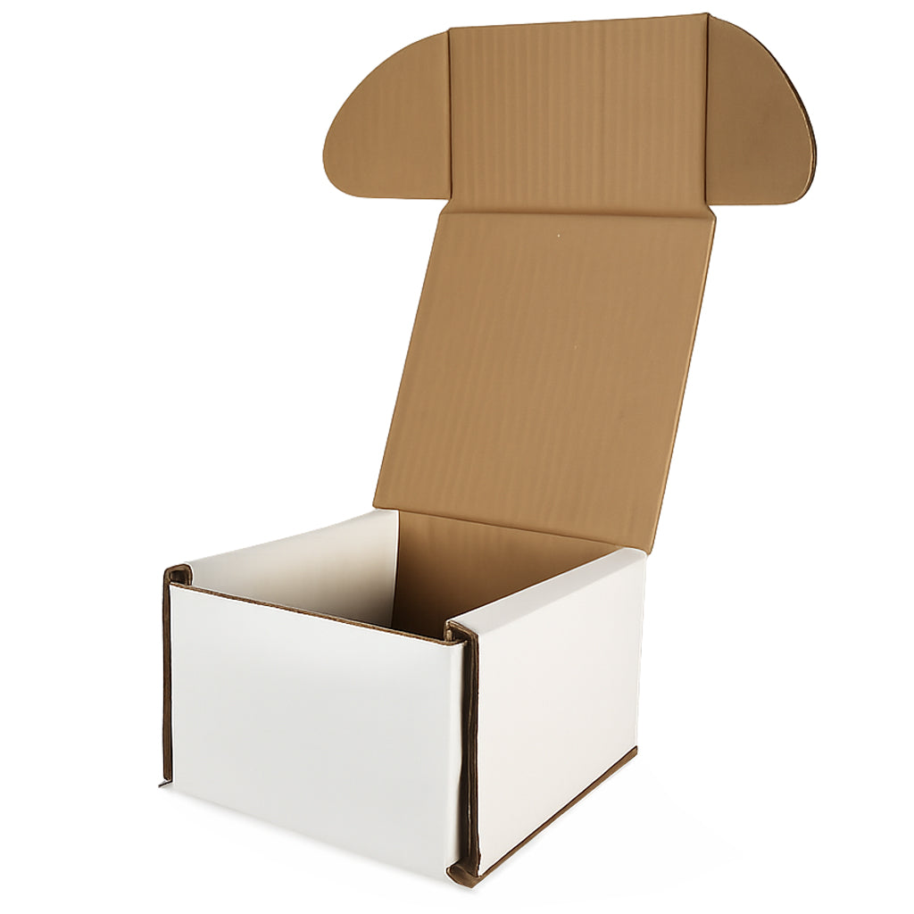 Large Smash Proof Mug Box