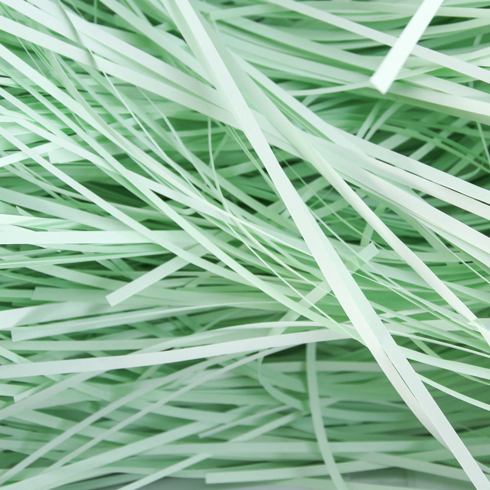 Turquoise Shredded Paper